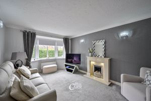 Lounge- click for photo gallery
